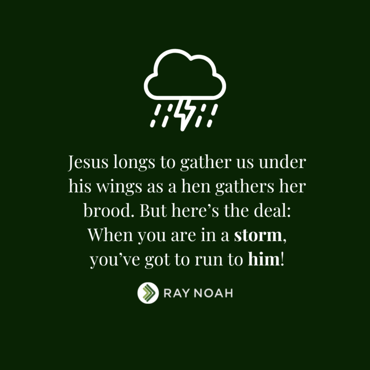 Shelter - Ray Noah Blog