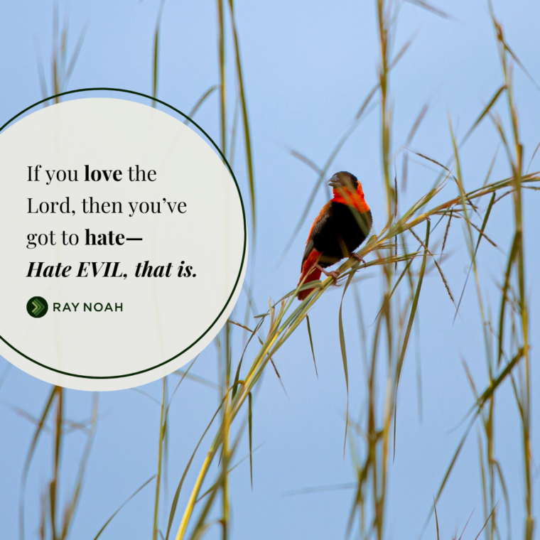 love-hate-relationships - Ray Noah Blog