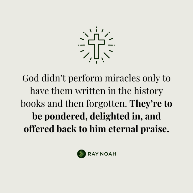 Praiseful Pondering — Ray Noah Blog