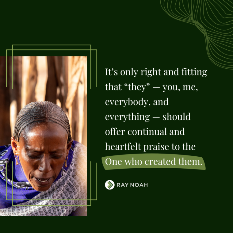 It Is Only Fitting That “They” Praise - Ray Noah Blog